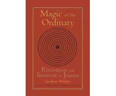 KNYGA Gershon Winkler Magic of the Ordinary