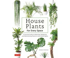 KNYGA Green Green Interior House Plants for Every Space