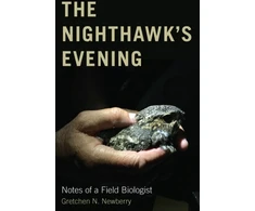 KNYGA Gretchen N Newberry The Nighthawk's Evening