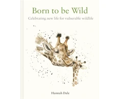 KNYGA Hannah Dale Born to be Wild