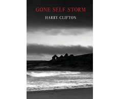 KNYGA Harry Clifton Gone Self Storm