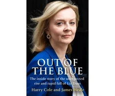 KNYGA Harry Cole Out of the Mėlyna