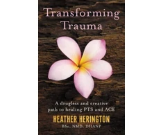 KNYGA Heather L Herington Transforming Trauma