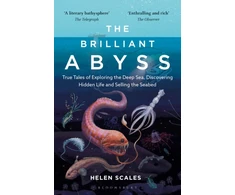 KNYGA Helen Scales Brilliant Abyss