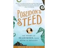 KNYGA Helen Scales Poseidon's Steed