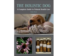 KNYGA Holly Mash Holistic Dog