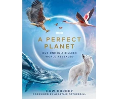 KNYGA Huw Cordey Perfect Planet