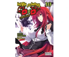 KNYGA Ichiei Ishibumi High School DxD, Vol. 10 (light novel)