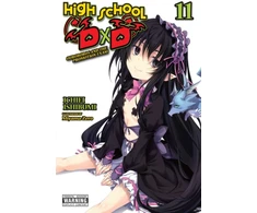 KNYGA Ichiei Ishibumi High School DxD, Vol. 11 (light novel)