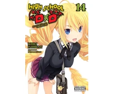 KNYGA Ichiei Ishibumi High School DxD, Vol. 14 (light novel)
