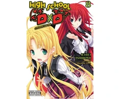 KNYGA Ichiei Ishibumi High School DxD, Vol. 8 (light novel)