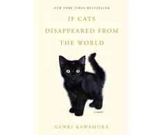 KNYGA If Cats Disappeared from the World