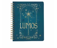 KNYGA Insight Insight Editions Harry Potter: Spells and Potions 12-Month Undated Planner