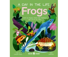 KNYGA Solis Frogs (A Day in the Life)