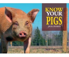 KNYGA Jack Byard Know Your Pigs