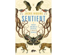 KNYGA Jackie Higgins Sentient