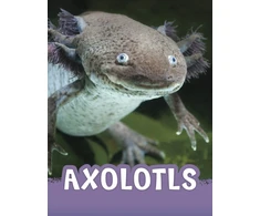 KNYGA Jaclyn Jaycox Axolotls