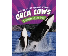 KNYGA Jaclyn Jaycox Orca Cows