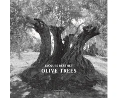 KNYGA Jacques Berthet Olive Trees