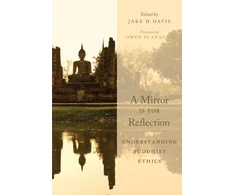 KNYGA Jake H Davis Mirror Is for Reflection