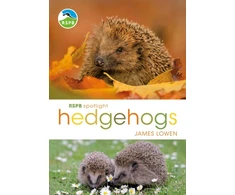 KNYGA James Lowen RSPB Spotlight Hedgehogs
