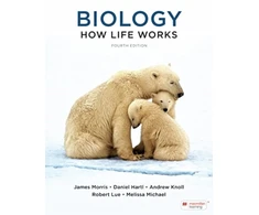KNYGA James Morris Biology: How Life Works (International Edition)