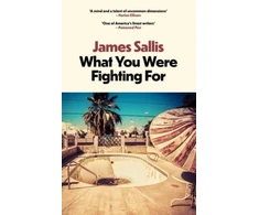 KNYGA James Sallis What You Were Fighting For