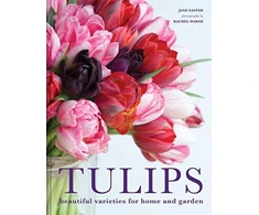 KNYGA Jane Eastoe Tulips