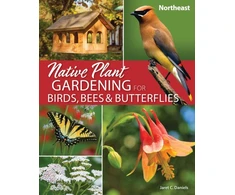 KNYGA Jaret C Daniels Native Plant Gardening for Birds, Bees &amp; Butterflies: Northeast