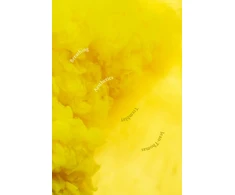 KNYGA Jean Thomas Tremblay Breathing Aesthetics