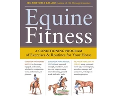 KNYGA Jec Aristotle Ballou Equine Fitness
