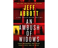 KNYGA Jeff Abbott Ambush of Widows
