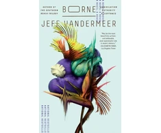 KNYGA Jeff Vandermeer Borne