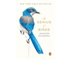 KNYGA Jennifer Ackerman Genius of Birds