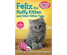 KNYGA Jenny Dale Felix the Fluffy Kitten and Other Kitten Tales