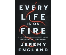 KNYGA Jeremy England Every Life Is On Fire