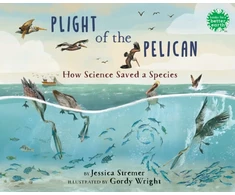 KNYGA Jessica Stremer Plight of the Pelican