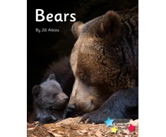 KNYGA Jill Atkins Bears