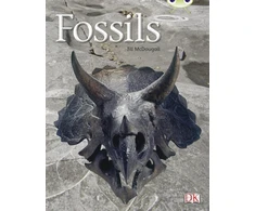 KNYGA Jill Mcdougall Bug Club Non-fiction Gold A/2B Fossils 6-pack