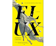 KNYGA Jinwoo Chong Flux