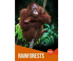 KNYGA Joanna Brundle Rainforests