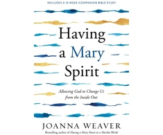 KNYGA Joanna Weaver Having a Mary Spirit