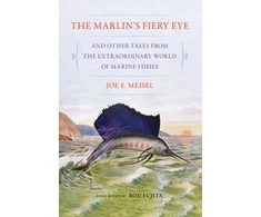 KNYGA Joe E Meisel Marlin's Fiery Eye and Other Tales from the Extraordinary World of Marine Fishes