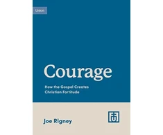 KNYGA Joe Rigney Courage