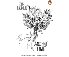 KNYGA John Banville Ancient Light