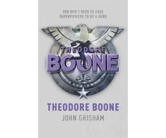 KNYGA John Grisham Theodore Boone