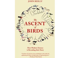 KNYGA John Reilly Ascent of Birds