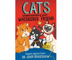KNYGA John Cats: Understanding Your Whiskered Friend