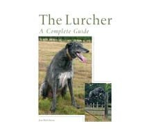 KNYGA Jon Hutcheon Lurcher