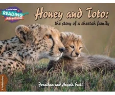 KNYGA Jonathan and Angela Scott Cambridge Reading Adventures Honey and Toto: The Story of a Cheetah Family 1 Pathfinders
